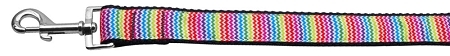 Zigzaggy Rainbow Nylon Dog Leash 5/8 inch wide 4ft Long