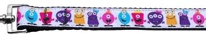 Monsters Nylon Ribbon Dog Collars 1 wide 4ft Leash