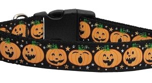 Pumpkins Nylon Dog Collar SM