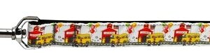 School Days Nylon Dog Leash 5/8 inch wide 6ft Long