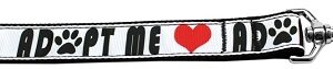 Adopt Me Nylon Dog Leash 3/8 inch wide 4ft Long