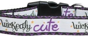 Wickedly Cute Nylon Dog Collar Medium Narrow