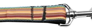 Autumn Stripes Nylon Dog Leash 3/8 inch wide 4ft Long