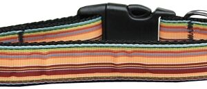 Autumn Stripes Nylon Dog Collar Medium