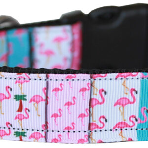 Flamingo Fun Nylon Dog Collar MD