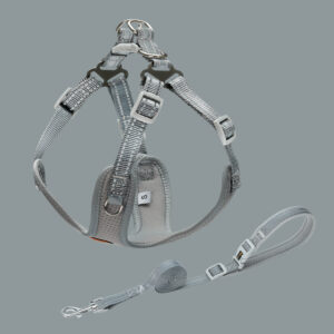 Color: Grey, Size: XXS - Pet Small And Medium Sized Dog Vest Collar Traction Rope