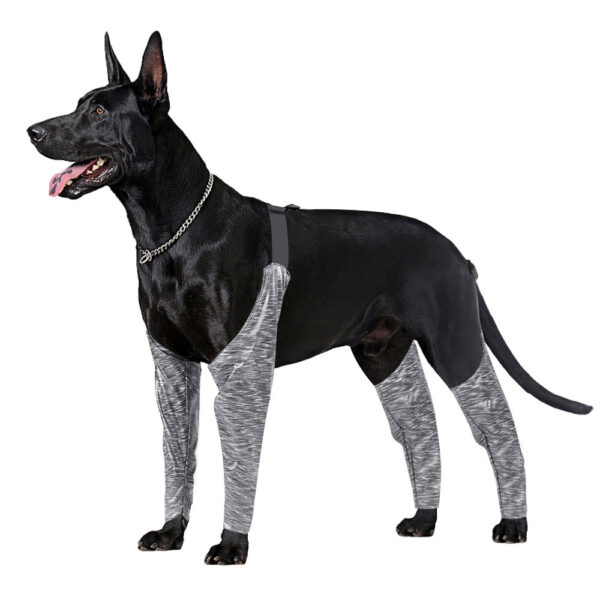 Color: Grey, Size: 3XL - Doughton's New Doggie Outdoor Four-Legged Pants