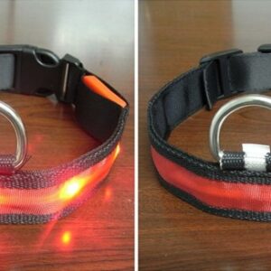Color: Orange, Size: XL, style: Ordinary paragraph - Pomeranian Husky Small And Medium-Sized Big Dog Smlxl Luminous Led Pet Collar