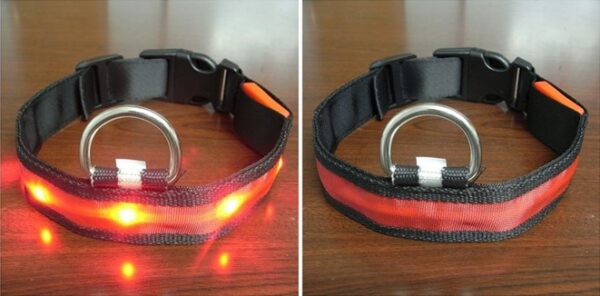 Color: Orange, Size: XL, style: Ordinary paragraph - Pomeranian Husky Small And Medium-Sized Big Dog Smlxl Luminous Led Pet Collar