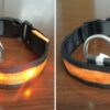 Color: Orange, Size: XL, style: Ordinary paragraph - Pomeranian Husky Small And Medium-Sized Big Dog Smlxl Luminous Led Pet Collar