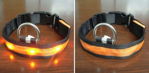 Color: Orange, Size: XL, style: Ordinary paragraph - Pomeranian Husky Small And Medium-Sized Big Dog Smlxl Luminous Led Pet Collar