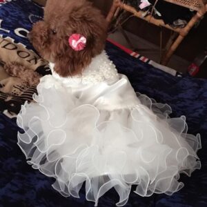 Color: A1A, Size: XL - Various Luxury Princess Pet Dog Wedding Dress Cat Dress Puppy Skirt Clothes Pet Skirt Bride Costume Supplies