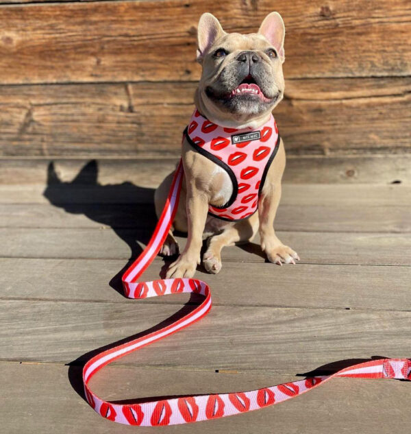 style: Traction, Size: L - Breathable Mesh Traction Rope Strap