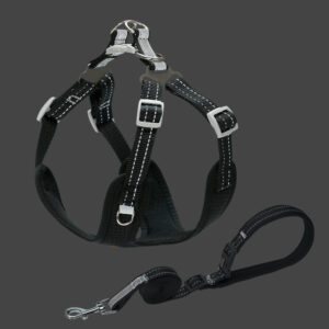 Color: Black, Size: XS - Pet Small And Medium Sized Dog Vest Collar Traction Rope