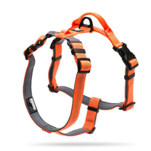 Color: Orange, Size: XS - Dog leash vest type chest strap