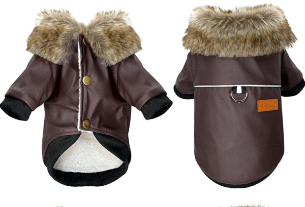 1976127810935.png Color: Brown, Size: XXL - Dog clothes leather jacket