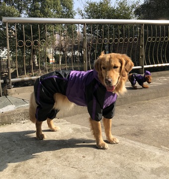 Color: Purple, Size: L - Large dog pet raincoat