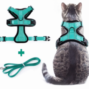 Color: Bluegreen Suit, Size: XL - Vest-style chest strap