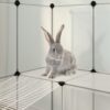 340570_72623062.jpg Animal Cage Transparent, White PP plastic, Steel Large