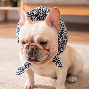 Color: Blue, Size: M - Sell cute pillow scarf pet