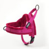 Color: Rose red, Size: M - Dog's chest and back coat with leash