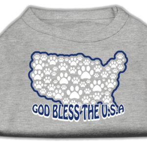 God Bless USA Screen Print Shirts Grey XXXL