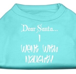 Dear Santa I Went with Naughty Screen Print Shirts Aqua XS