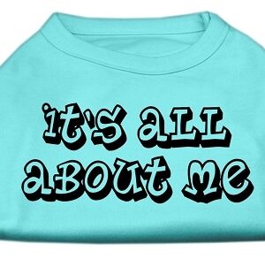 It's All About Me Screen Print Shirts Aqua XS