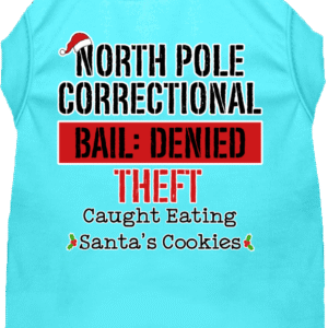 North Pole Correctional Screen Print Dog Shirt Aqua Size SM