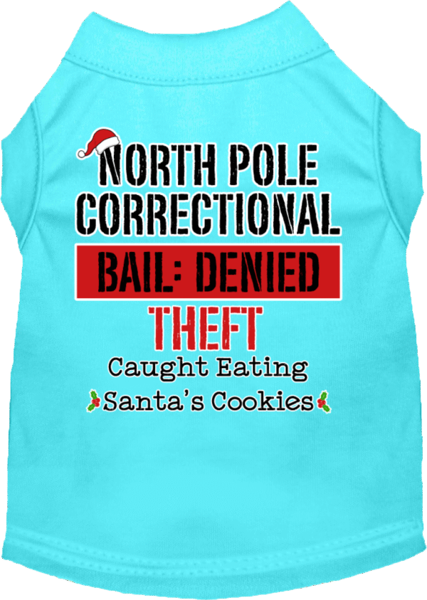 North Pole Correctional Screen Print Dog Shirt Aqua Size SM