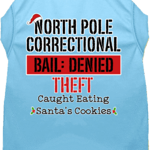 North Pole Correctional Screen Print Dog Shirt Baby Blue Size XL