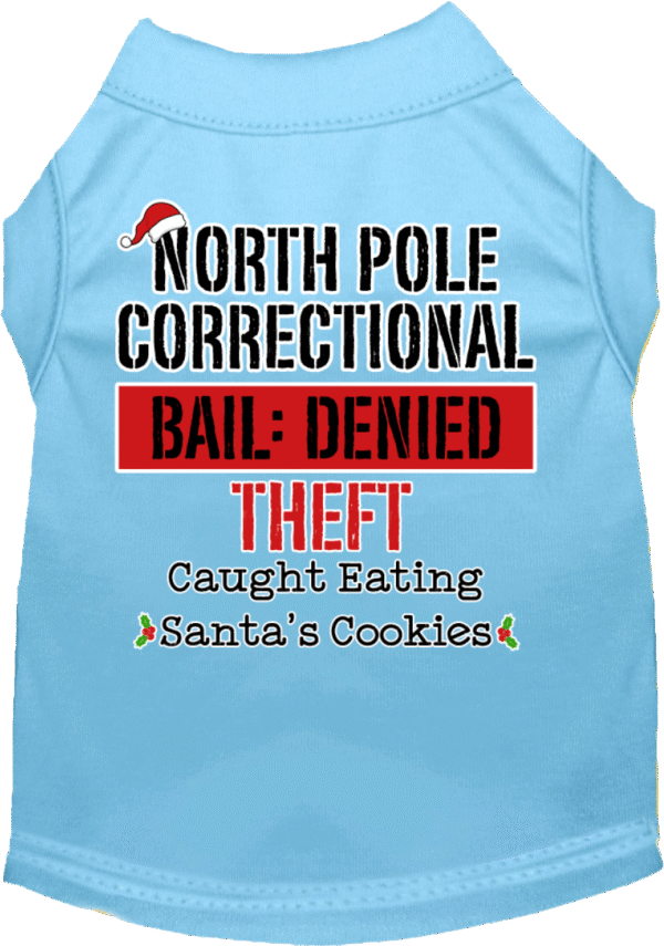 51-478-XLBBL.png North Pole Correctional Screen Print Dog Shirt Baby Blue Size XL