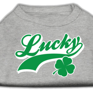 Lucky Swoosh Screen Print Shirt Grey Lg