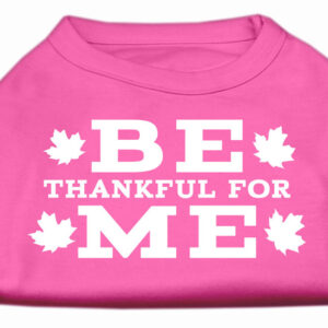 Be Thankful for Me Screen Print Shirt Bright Pink L