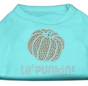 Lil' Punkin' Rhinestone Shirts Aqua XXXL