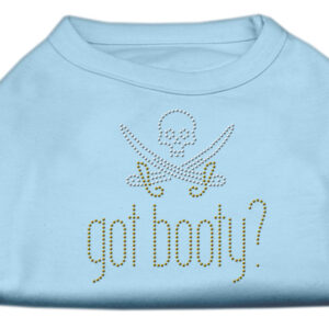 Got Booty? Rhinestone Shirts Baby Blue S