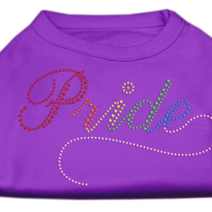 Rainbow Pride Rhinestone Shirts Purple XXL