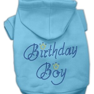Birthday Boy Hoodies Baby Blue XS