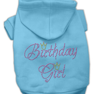 Birthday Girl Hoodies Baby Blue XXXL