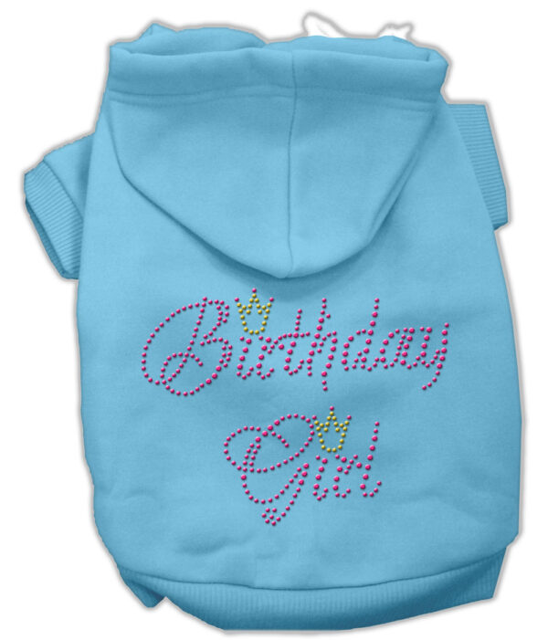 54-11-XXXLBBL.jpg Birthday Girl Hoodies Baby Blue XXXL