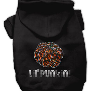 Lil' Punkin' Hoodies Black L