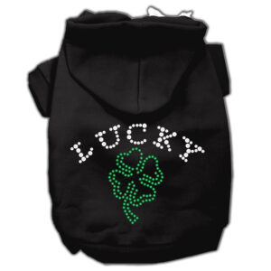 Four Leaf Clover Outline Hoodies Black S