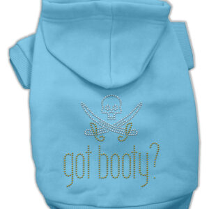 Got Booty Rhinestone Hoodies Baby Blue XL