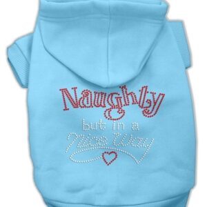 Naughty But Nice Hoodies Baby Blue XS