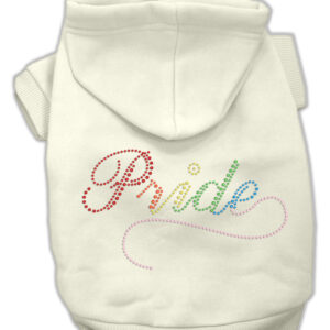 Rainbow Colored Pride Hoodies Cream XS