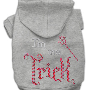 I'm the Trick Rhinestone Hoodies Grey XS
