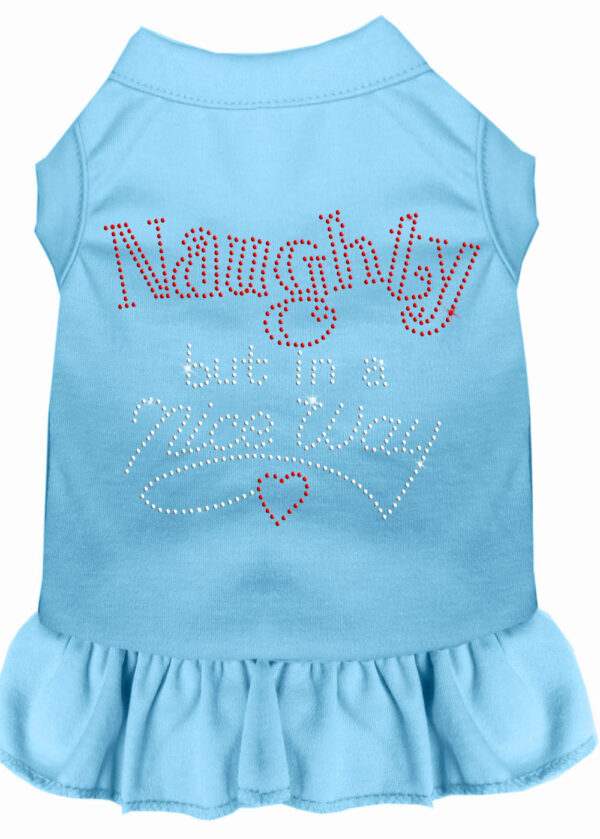 Rhinestone Naughty but in a nice way Dress Baby Blue 4X
