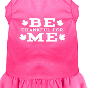 Be Thankful for Me Screen Print Dress Bright Pink XL