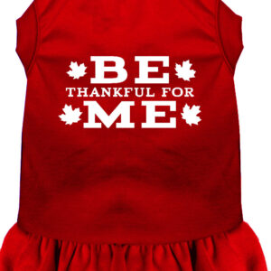 Be Thankful for Me Screen Print Dress Red XS