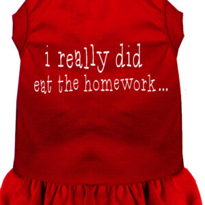 I really did eat the Homework Screen Print Dress Red 4X (22)